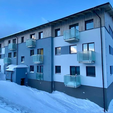 Apartment Petra Klinovec Loučná pod Klínovcem エクステリア 写真