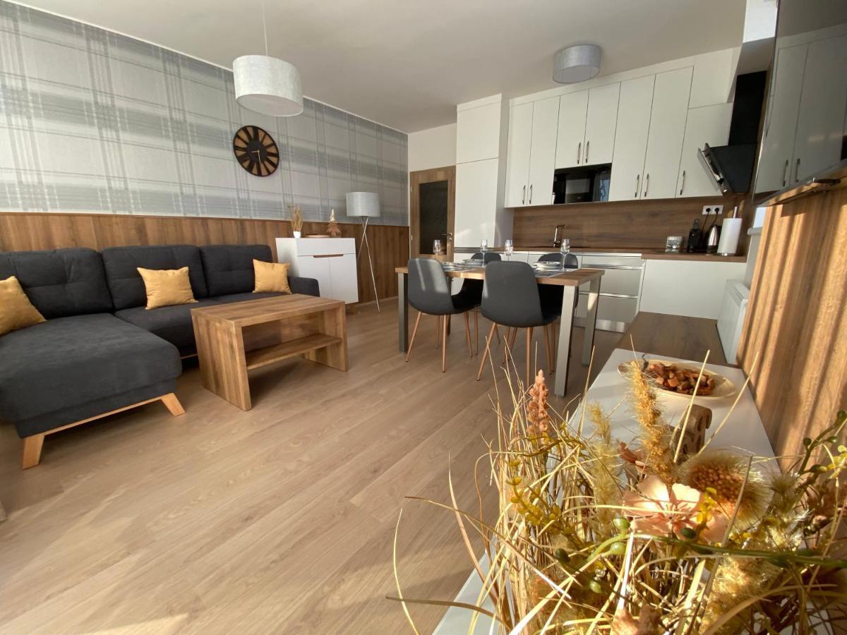 Apartment Petra Klinovec Loučná pod Klínovcem エクステリア 写真