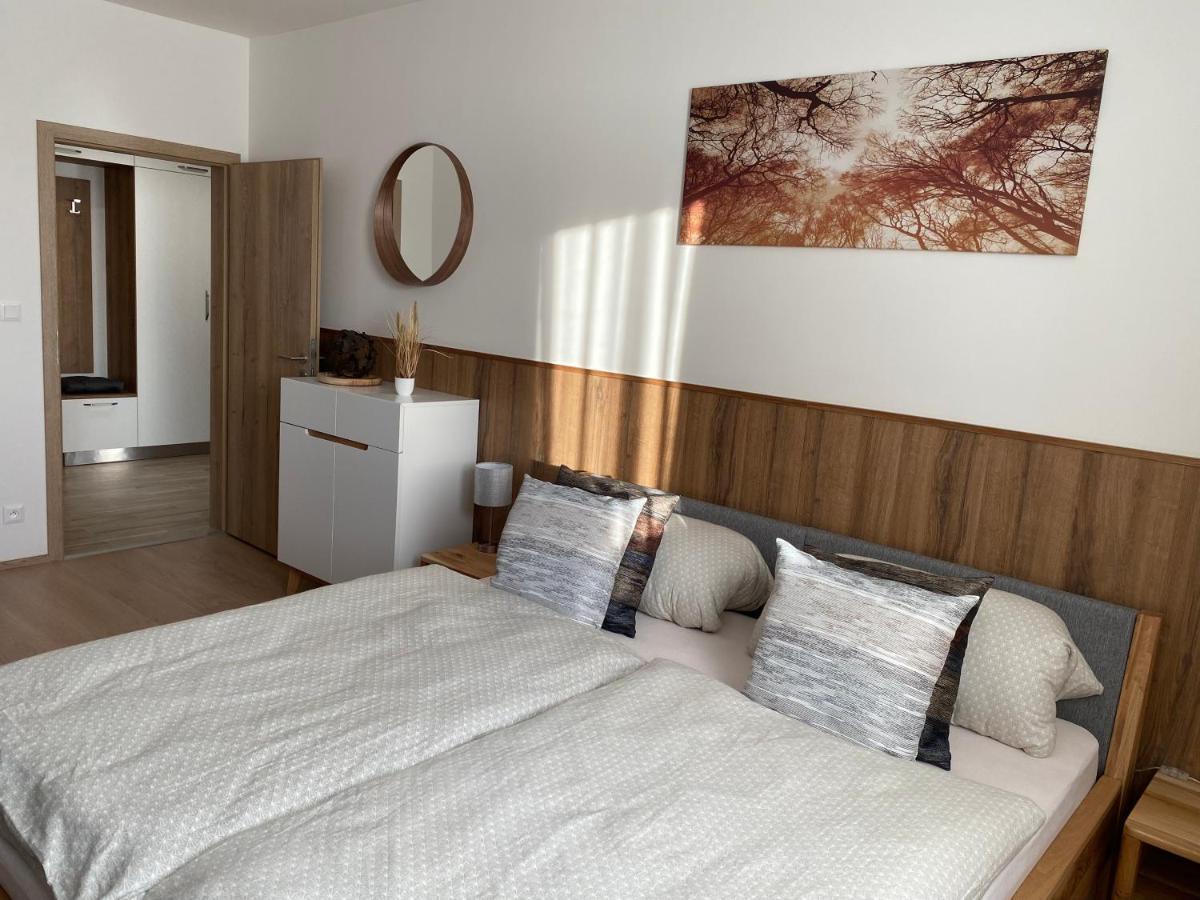 Apartment Petra Klinovec Loučná pod Klínovcem エクステリア 写真