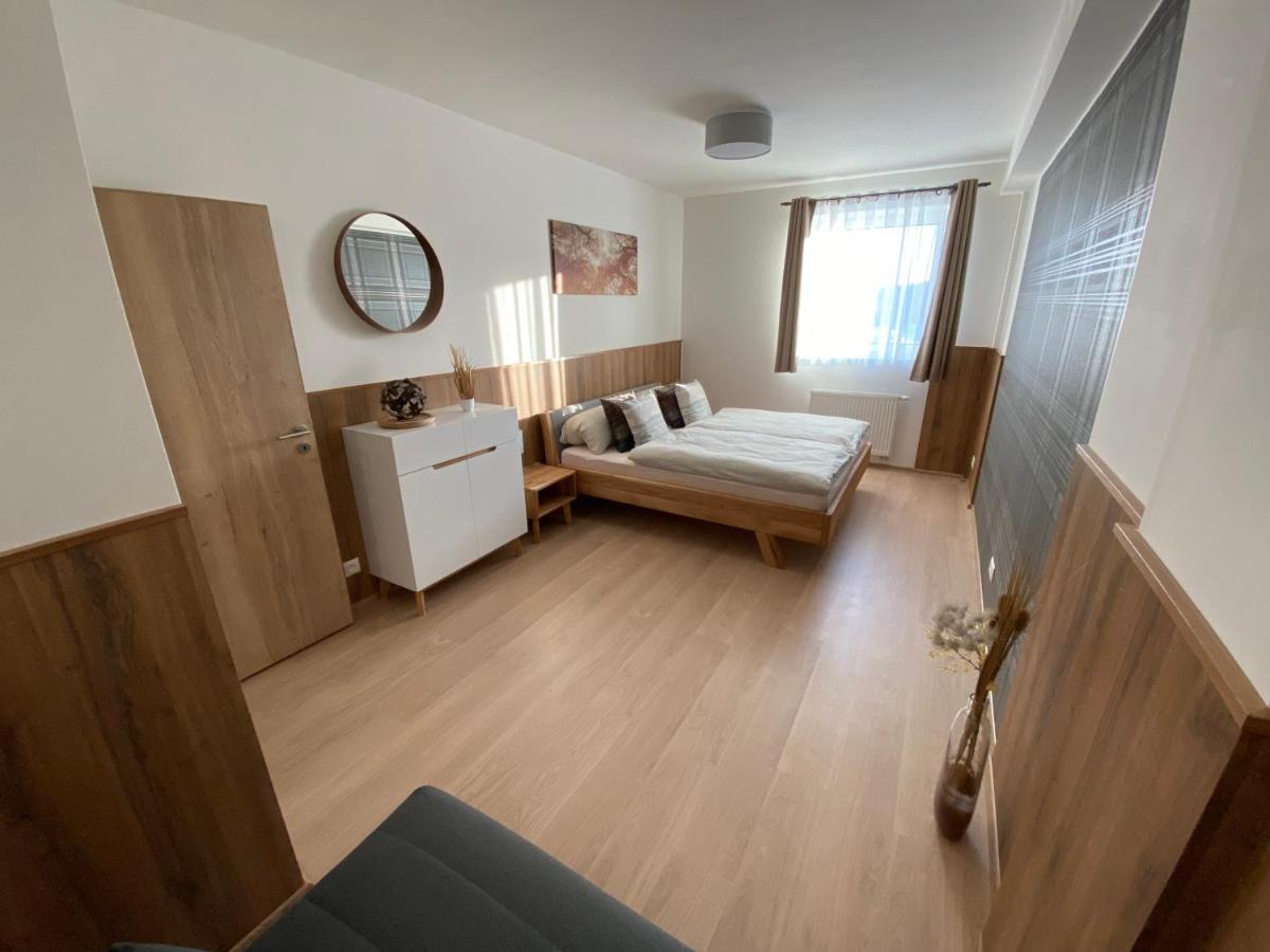 Apartment Petra Klinovec Loučná pod Klínovcem エクステリア 写真