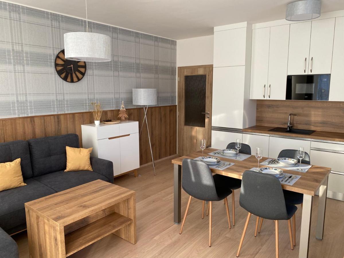 Apartment Petra Klinovec Loučná pod Klínovcem エクステリア 写真